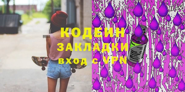 индика Горнозаводск
