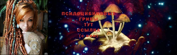 сатива Горно-Алтайск
