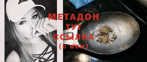 индика Горнозаводск