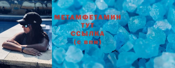 индика Горнозаводск