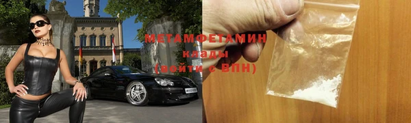 индика Горнозаводск