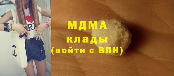 индика Горнозаводск