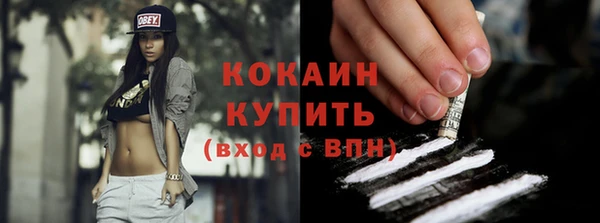 индика Горнозаводск
