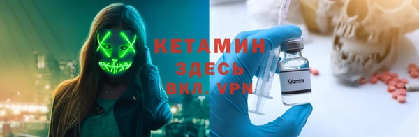 индика Горнозаводск