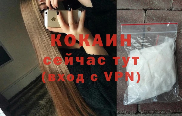 сатива Горно-Алтайск