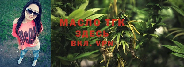 индика Горнозаводск