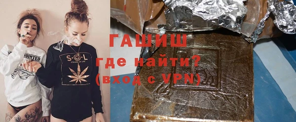 индика Горнозаводск